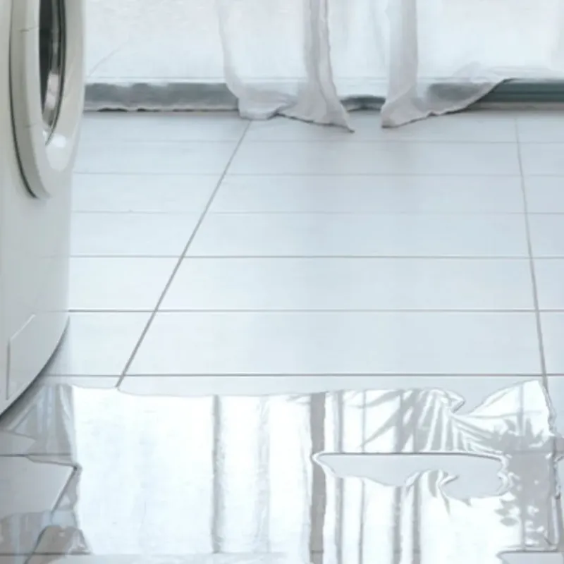 Appliance Leak Cleanup in Varnville, SC