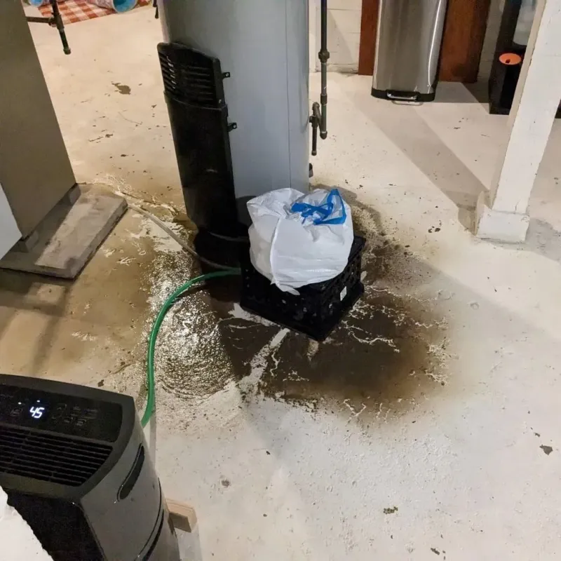 Sewage Backup Cleanup Service in Varnville, SC